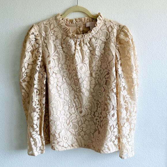 Rachel Parcell XL cream Ruffle Neck Lace long sleeve top - Picture 2 of 9